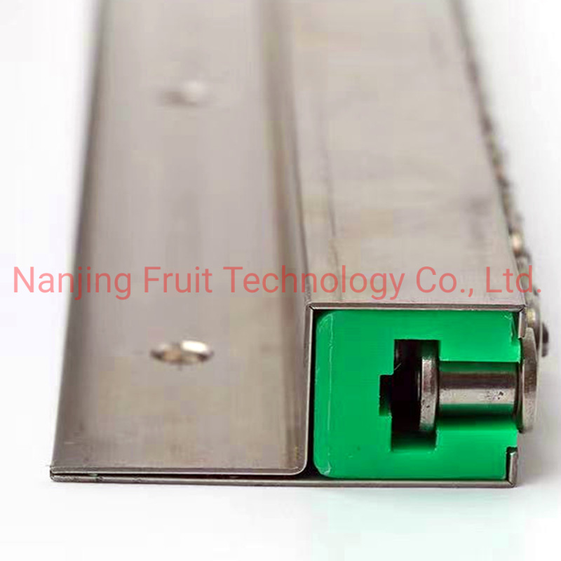 Wear Resistant 06b Plastic UHMW-PE Linear Guide Rai